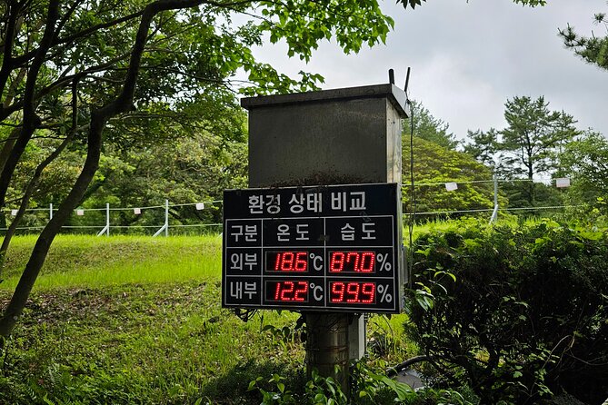 Jeju Day Tour - World Heritage & UNESCO - Tour Overview