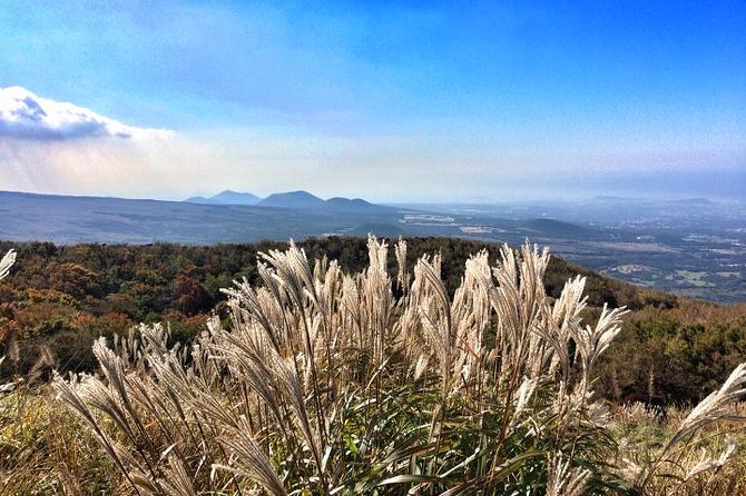 Jeju Premium Small Group UNESCO Day Tour – South Course