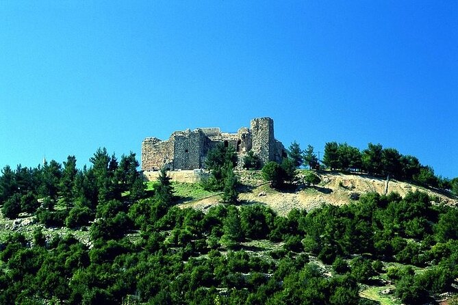 Jerash Umm Qais & Ajloun Castle Tour