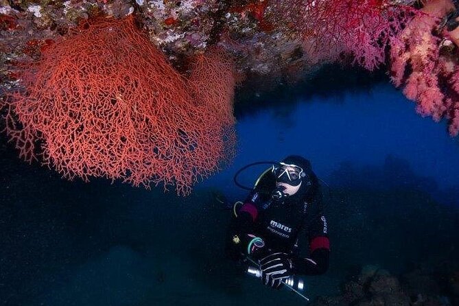 Journey of Diving or Snorkelling From a Boat - Safety Measures on Board