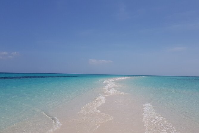 Jozani Forest, Kuza Cave, Paje Beach and The Rock Restaurant - Amenities and Services