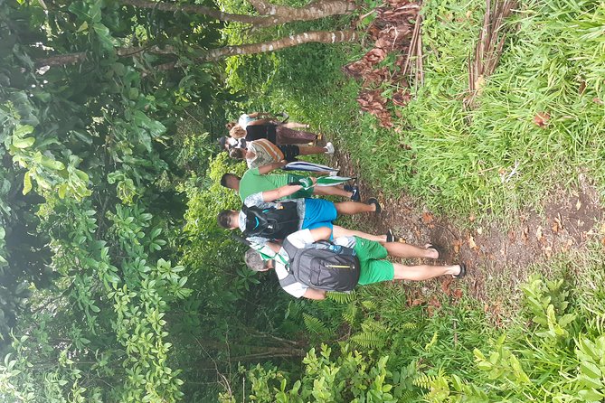 Jozani Forest & Spice Tour - Meeting and Pickup