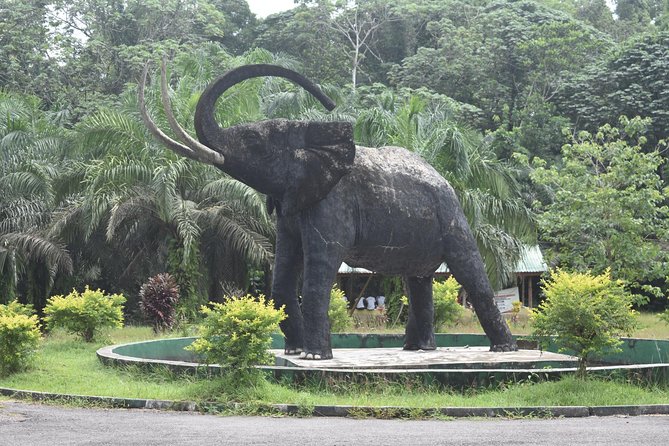 Jungle Adventure - Cross River National Park - Pickup Points