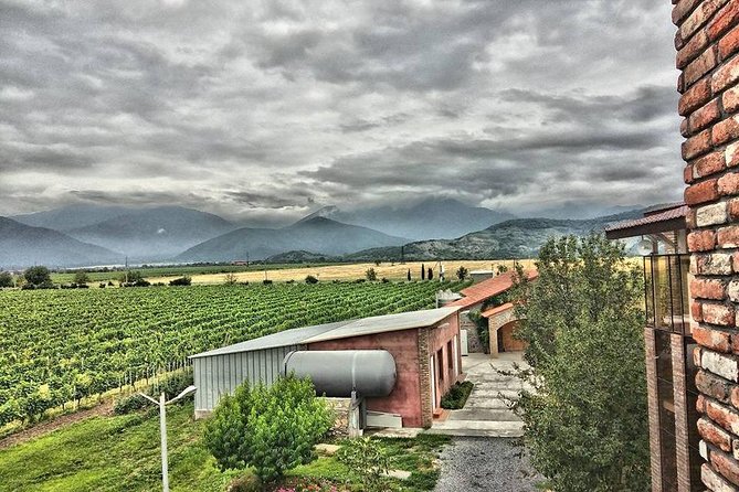 Kakheti-Wine Region Full-Day Superior Private Guided Tour & Organic Wine Tasting - Tour Overview