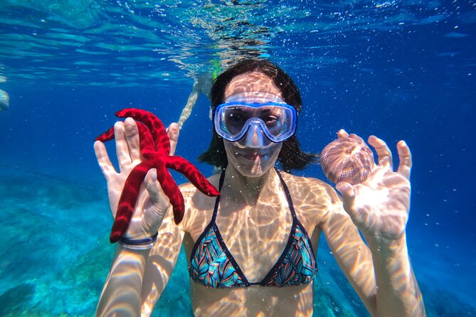 Kamiros Skala: Marine Life Experience - Wildlife Spotting Opportunities