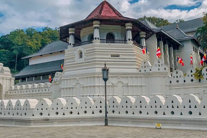 Kandy & Pinnawala Elephant Orphanage Day Trip From Negombo - Trip Highlights