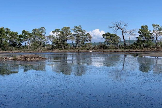 Karavasta Lagoon and Boat Trip - Daily Tour From Tirana