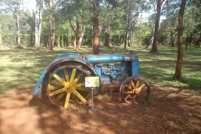 Karen Blixen Nairobi Museum Tour - Meeting and Pickup