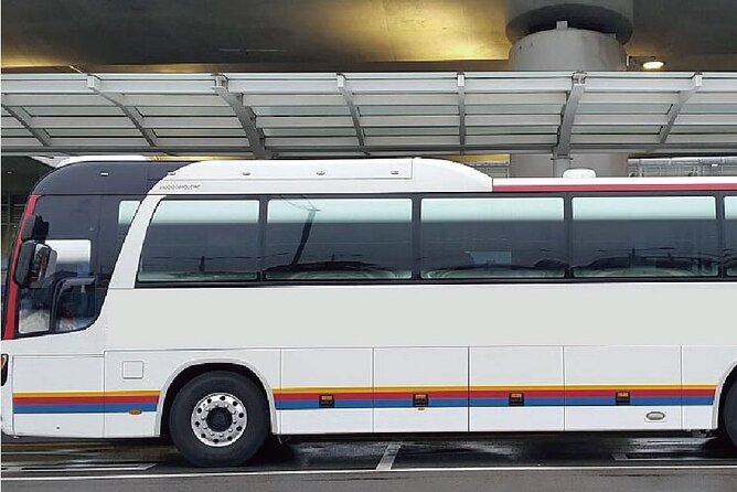 Kefalonia Airport Bus Transfer Between Skala And Katelios Areas - Inclusions and Services