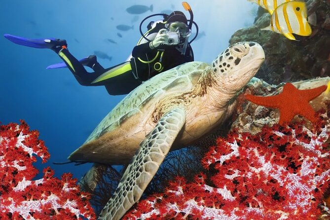 Kemer Scuba Diving Experience With Lunch and Transfer - Pickup Details