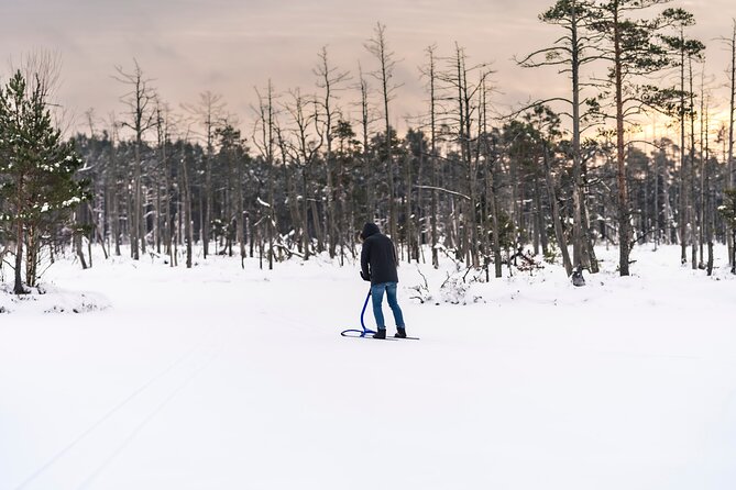 Kicksledding on Snowy Forest Roads and Frozen Lakes in Riga