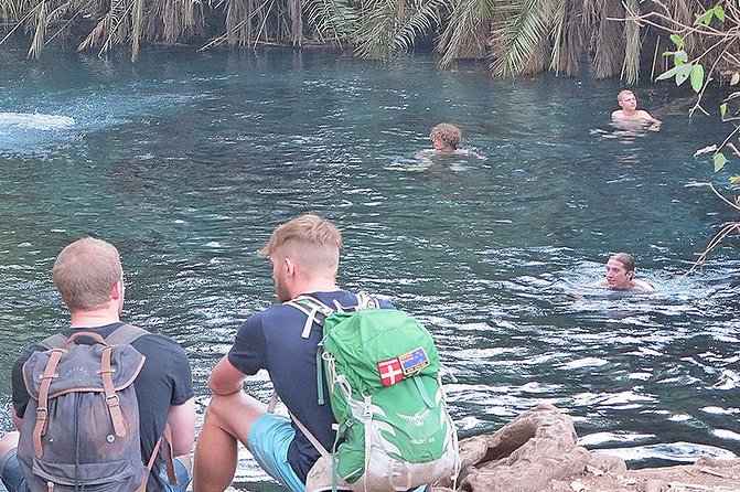 Kikuletwa Hot Spring Day Tour