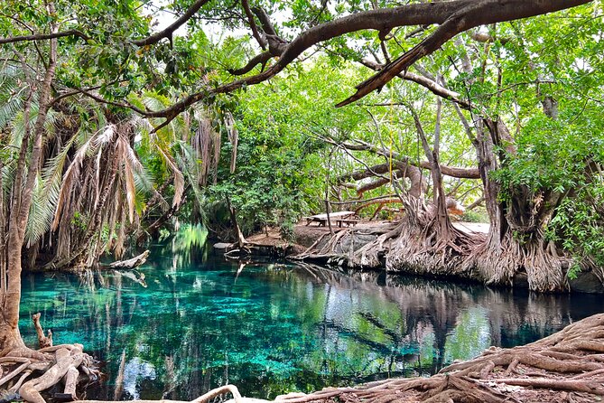 Kikuletwa Hotsprings/ Hot Springs Day Trip