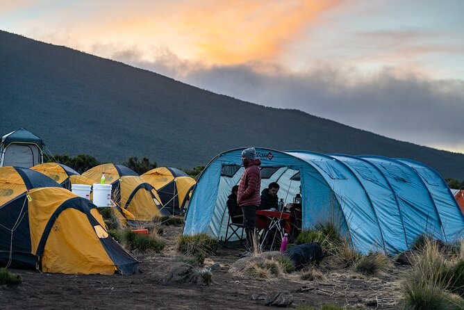 Kilimanjaro Climb by Lemosho Route (7-Day) - Tour Overview