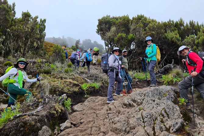 Kilimanjaro Lemosho Route 8 Days - Accommodation Options