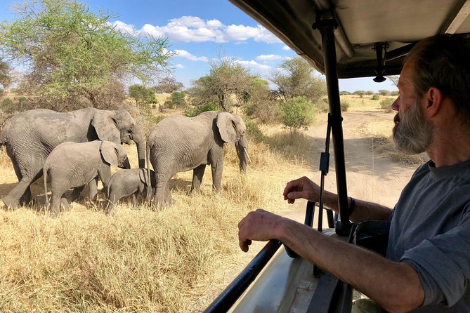 Kilimanjaro: Lemosho Route and Camping Safari - Accommodations Details