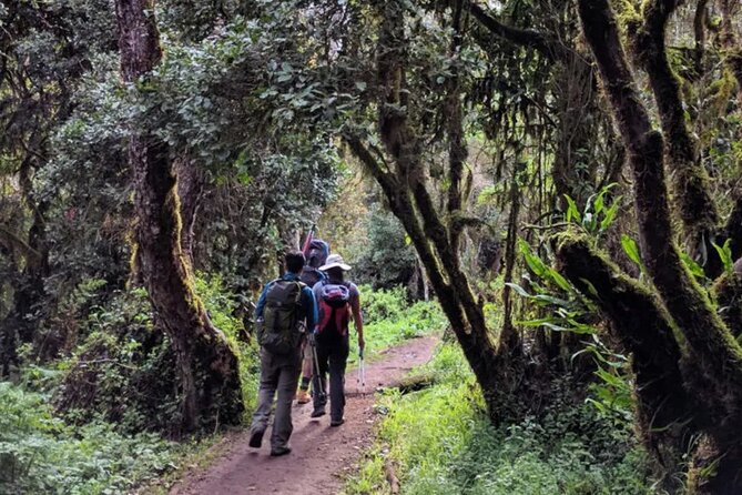 Kilimanjaro Marangu Day Hike - Pricing and Booking Information