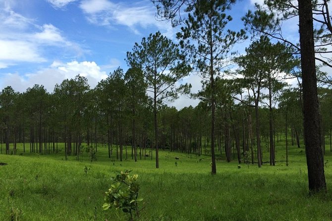 Kirirom National Park Private Day Tour From Phnom Penh