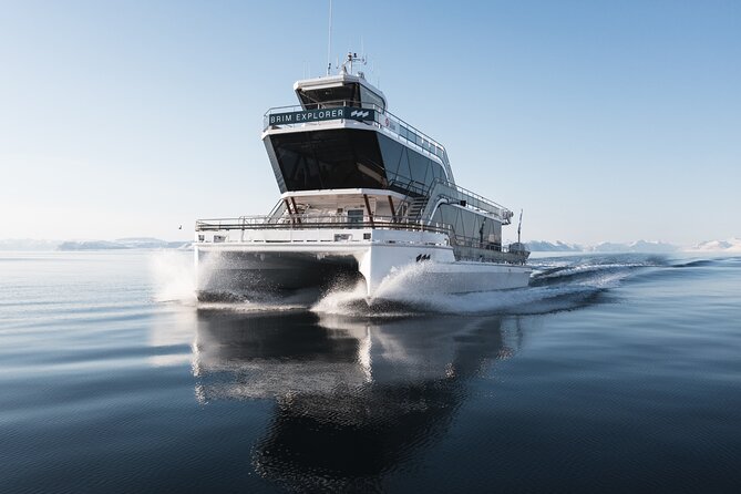 Best Boat Tours And Cruises In Bodo