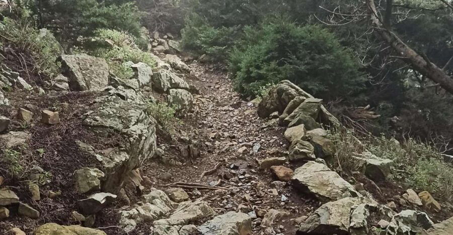 Kos: Moderate Hiking Tour on Dikaios Mountain - Tour Overview