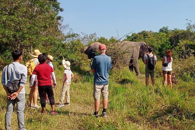 Kulen Elephant Forest and Tonle Sap Lake by Private Tour - Tour Highlights