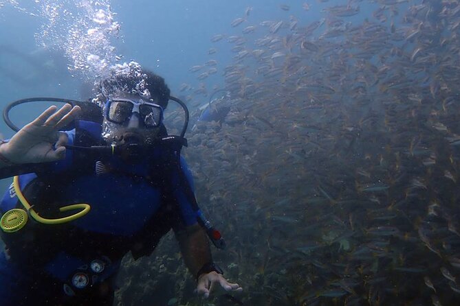 Kusadasi Scuba Diving Tour By Local Experts