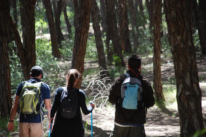 Lagos: Walking Towards The Sunset In The West Algarve (Self-guided) - Accommodation Details