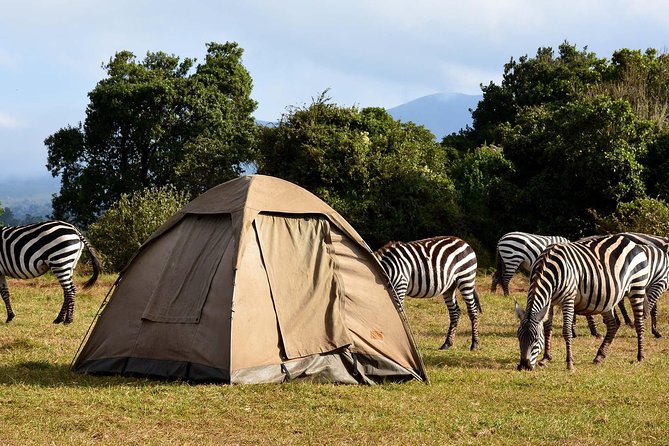 Lake Manyara Guided Day Tour From Arusha
