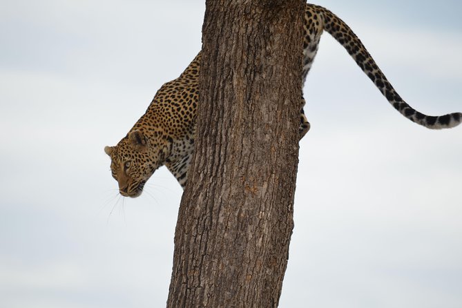 Lake Nakuru/ Lake Naivasha/ Maasai Mara 5 Days Lodge Safari - Accommodation Details