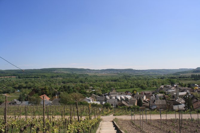 Lakes and Vineyards of Remerschen and Schengen - Exploring Local Vineyards