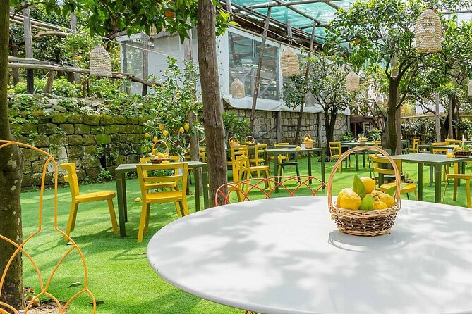 Lemon Tour With Lunch or Dinner - Cancellation Policy