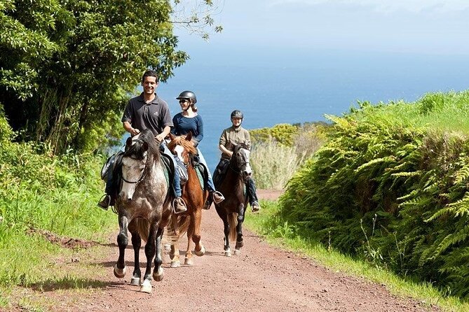 Lusitano Trail - Horseback Riding for Beginners - Location and Activity Description