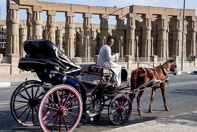 Luxor City Tour By Horse Carriage From West Bank