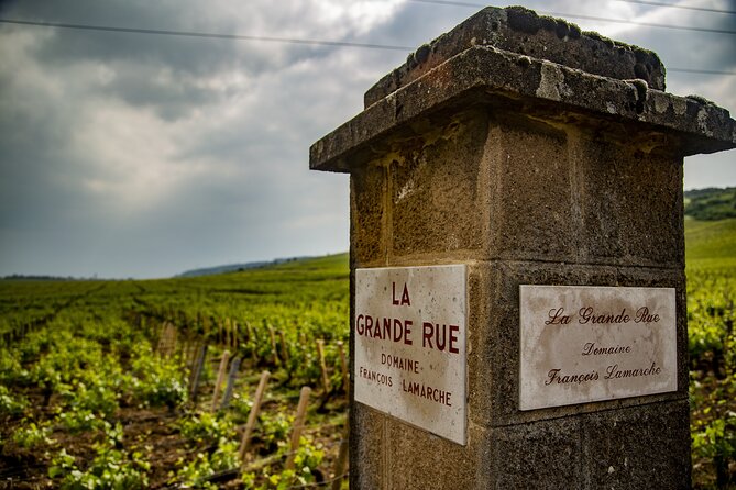 Luxurious Wine Tour in Burgundy