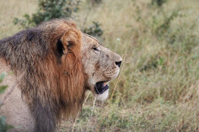 Luxury Okavango Safari - 3 Day