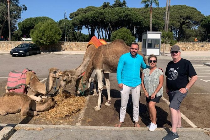Luxury Private Tangier Tour With Lunch and Camel Ride