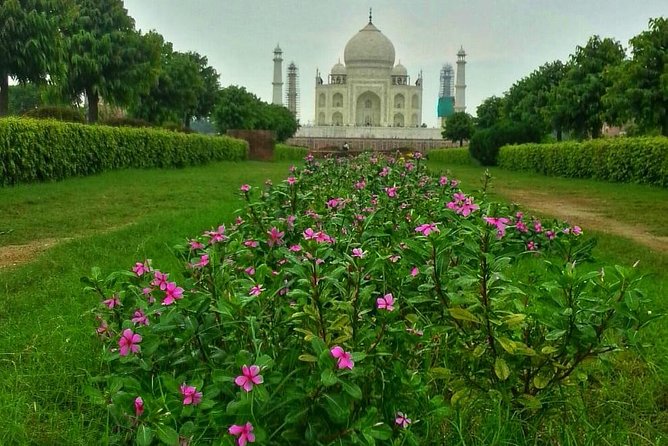 Luxury Taj Mahal and Agra Day Tour From Delhi. Maharaja Private Tour. - Inclusions
