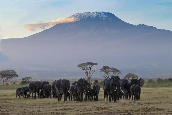 Machame 6 Days Kilimanjaro Climb
