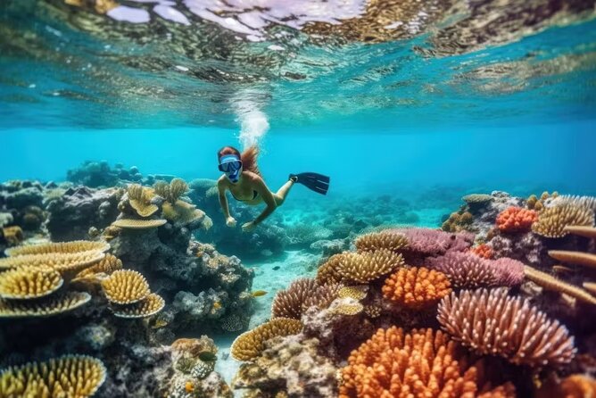 Mahmya Paradise Island Full-Day Snorkeling - Pickup and Transportation Details