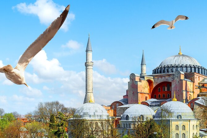 Majestic Trio: Hagia Sophia,Basilica Cistern&Topkapı Palace - Tour Highlights