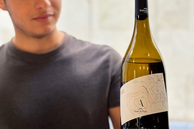 Malaga City Wine Tour - Tour Overview