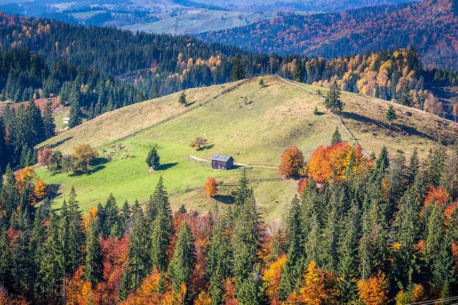 Maramures, Bucovina & Danube Delta Tour – 5 Days - Accommodation Details