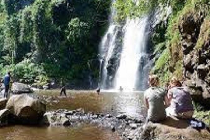 Marangu Day Trip, Waterfall and Village Tour 2024/2025 - Tour Highlights