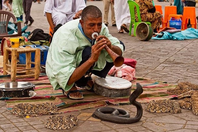 Marrakech 3-Hour Walking Tour - Tour Details