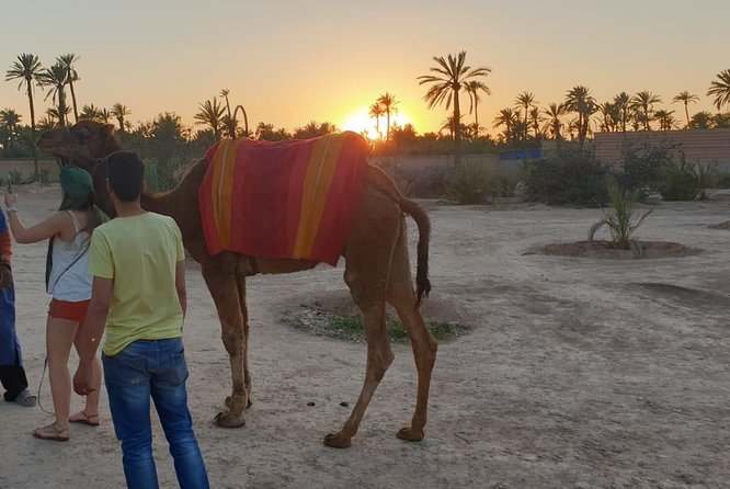 Marrakech and Desert Adventure of 7 Days Non Stop. - Tour Itinerary Overview