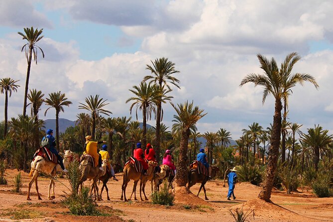 Marrakech Camel Ride & Quad Bike in Palmeraie - Frequently Asked Questions