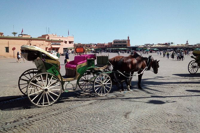 Marrakech Monuments Tour for Group - Tour Logistics