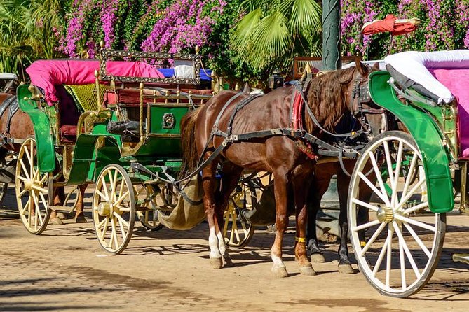 Marrakech Private Horse-Drawn Carriage Ride - Tour Overview