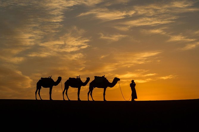 Marrakech to Fes Desert Tour 3 Days & Camel Trek (All-Inclusive) - Tour Itinerary Highlights
