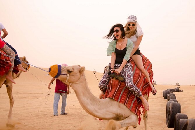 Marsa Alam Camel Trek and Bedouin Half Day Private Tour - Tour Inclusions